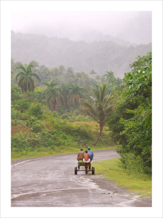 Cuban Landscape