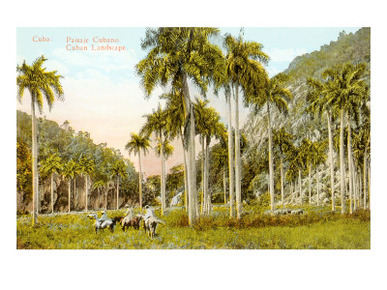 Cuban Landscape